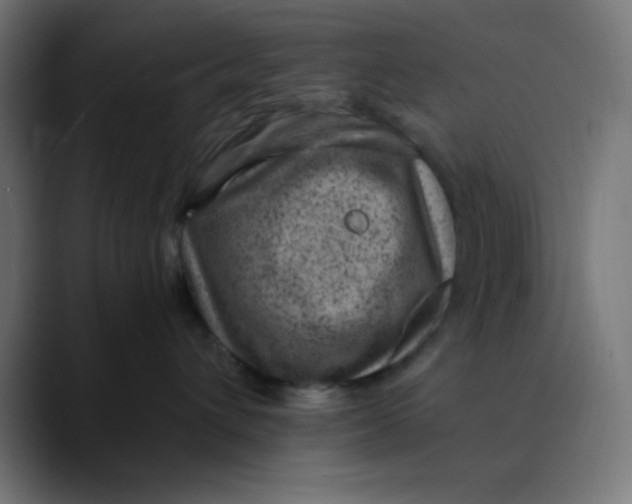 X0000089710432200707121416