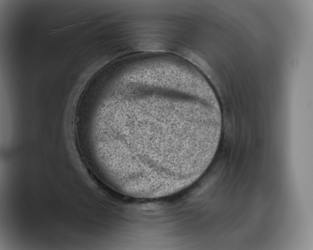 X0000089710433200707121415