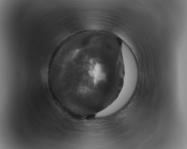 X0000089710434200707121415