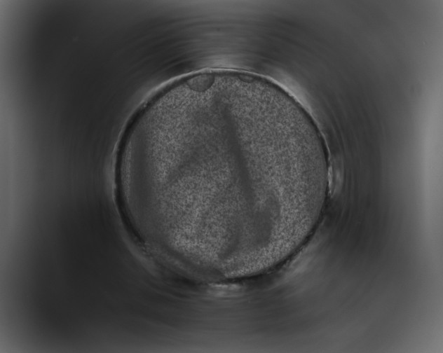 X0000089710438200707121415