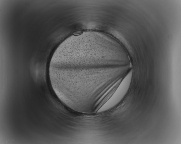 X0000089710442200707121415