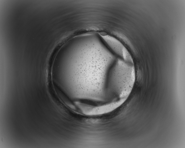 X0000089710444200707121416