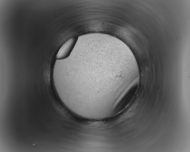 X0000089710446200707121416