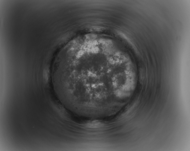 X0000089710451200707121416