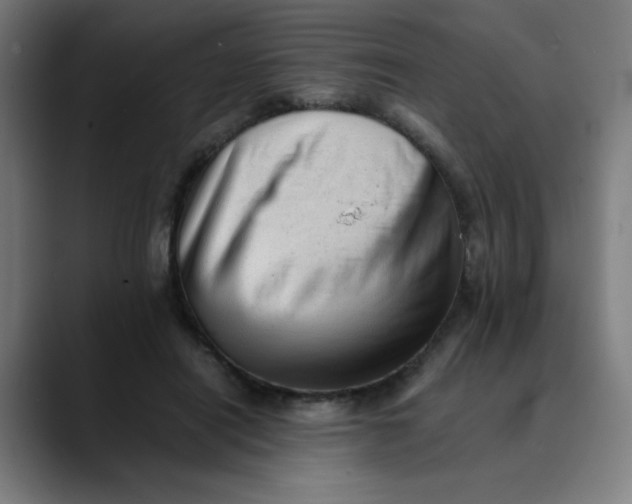 X0000089710454200707121416