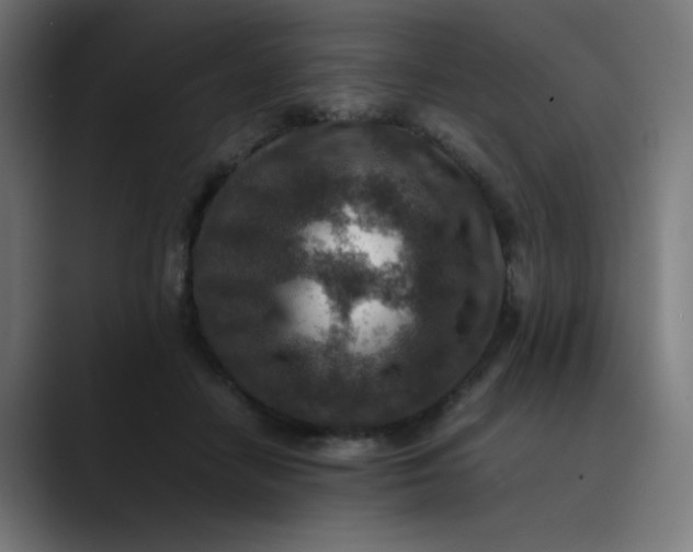 X0000089710458200707121416