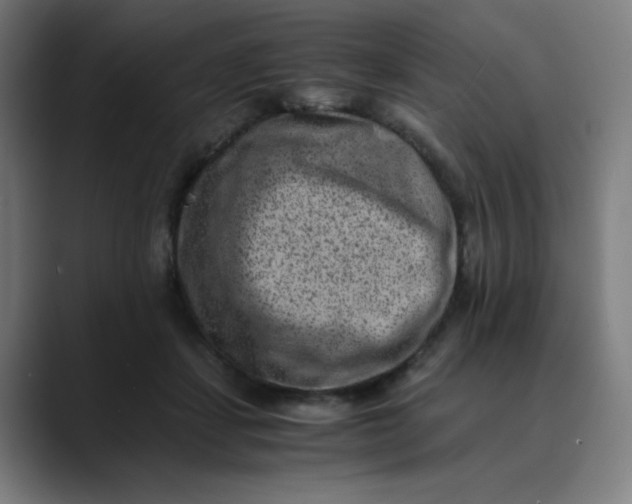 X0000089710459200707121416