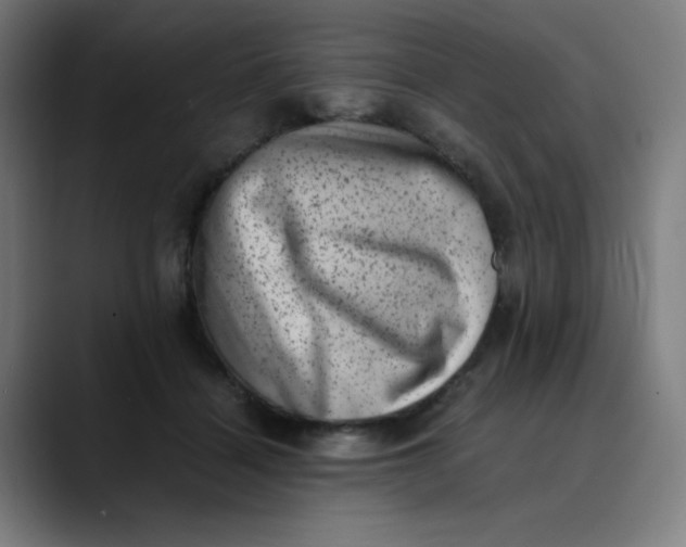 X0000089710460200707121416