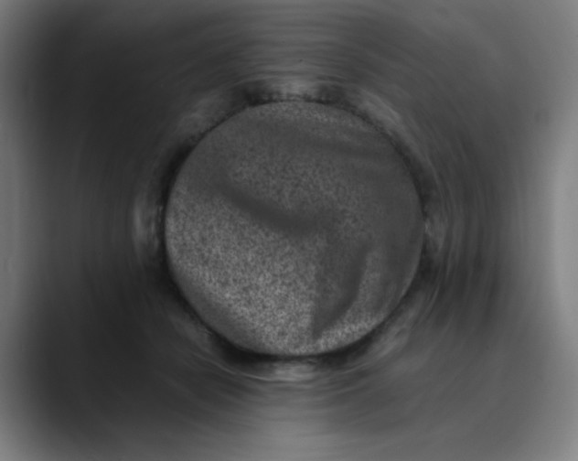 X0000089710462200707121416