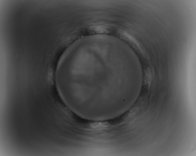 X0000089710465200707121416