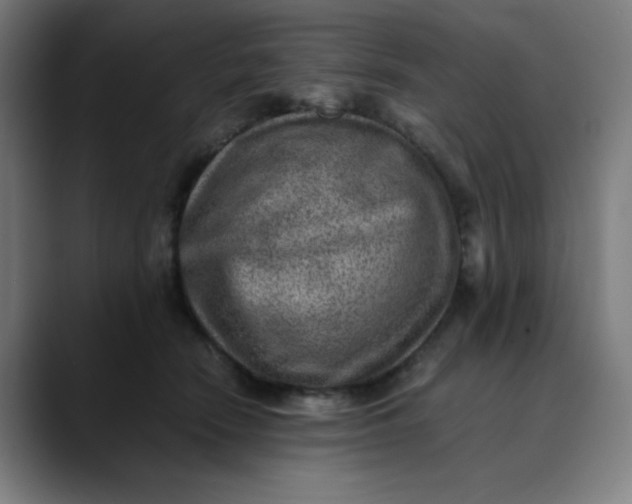 X0000089710466200707121416