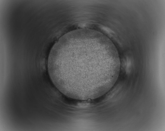 X0000089710470200707121416