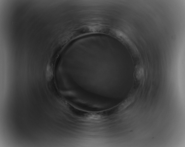 X0000089710471200707121416