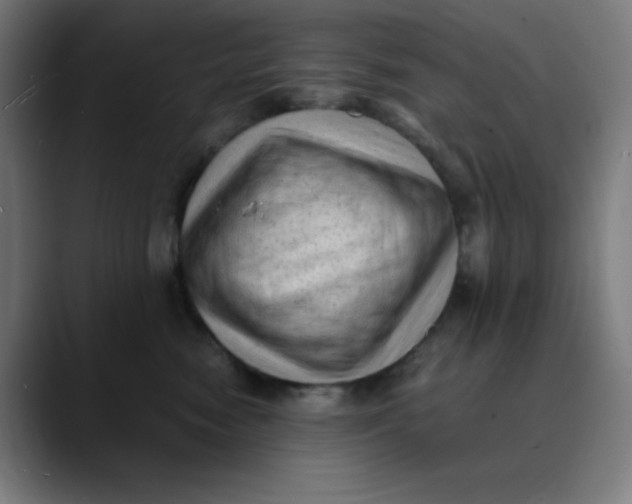 X0000089710474200707121416