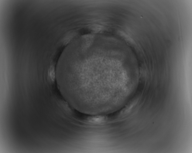 X0000089710479200707121416