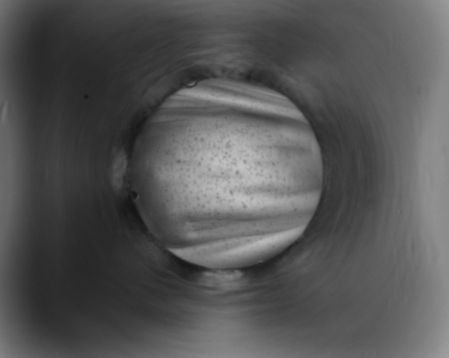 X0000089710480200707121416