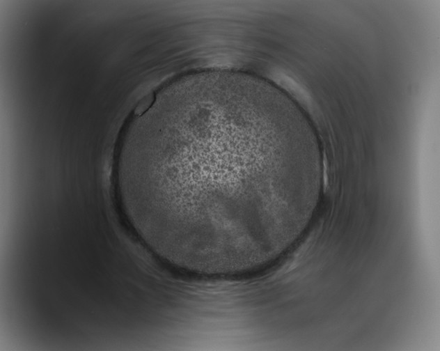 X0000089710483200707121415