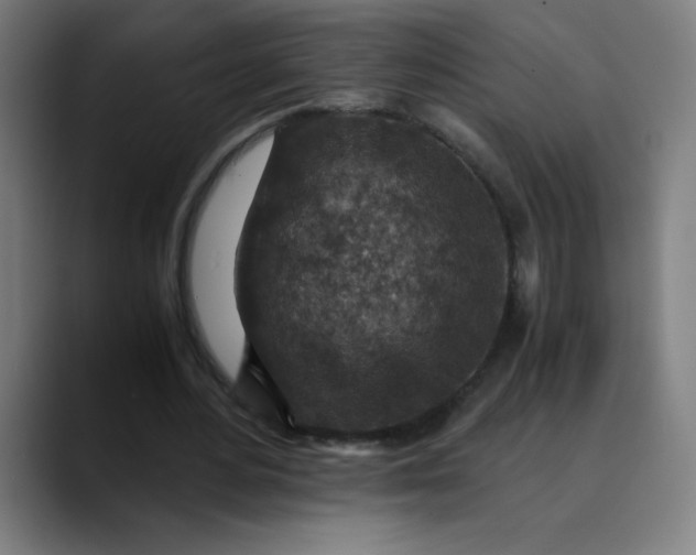 X0000089710484200707121415