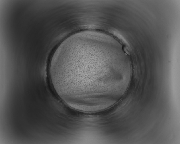 X0000089710486200707121415