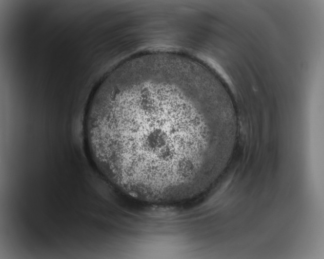 X0000089710487200707121415