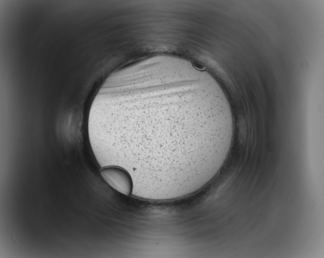 X0000089710490200707121415