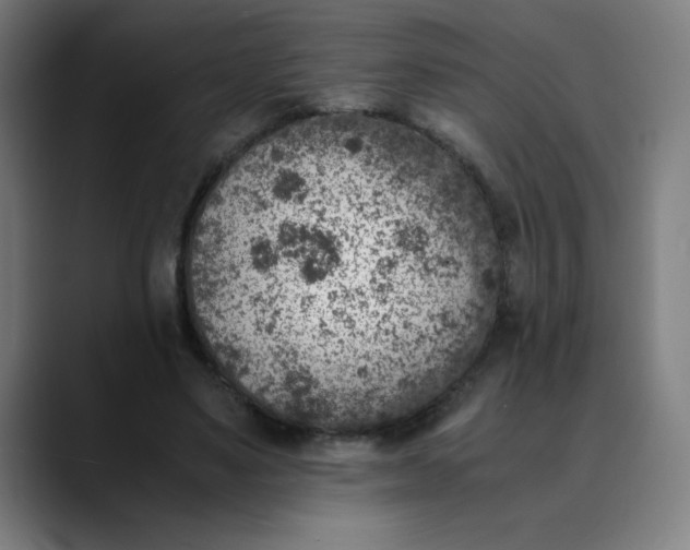 X0000089710491200707121415