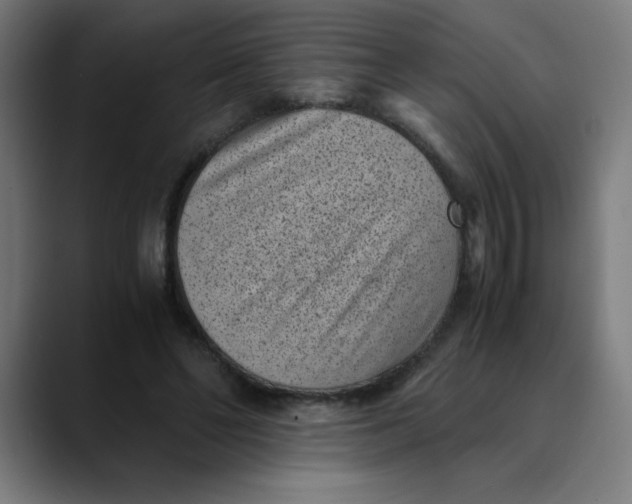 X0000089710494200707121415