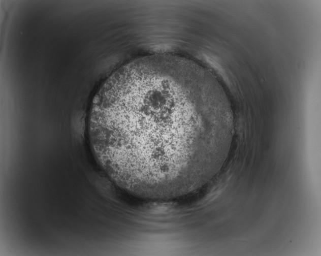 X0000089710495200707121415