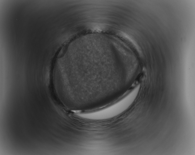 X0000089710496200707121415