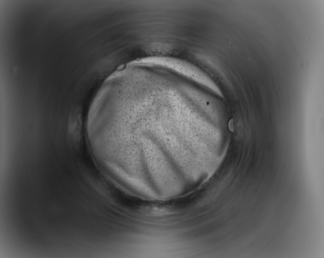 X0000089710498200707121415