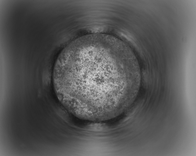 X0000089710499200707121415