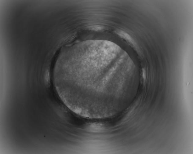 X0000089710500200707121415