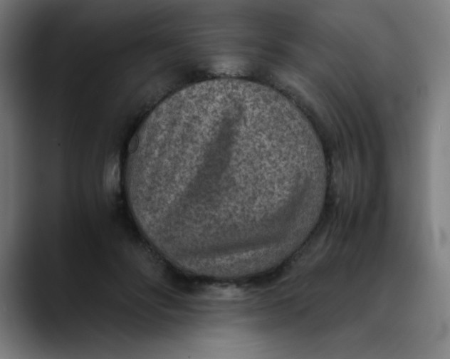 X0000089710502200707121415