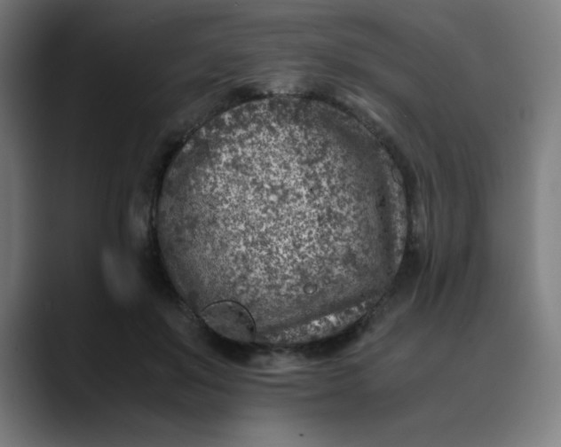 X0000089710503200707121415