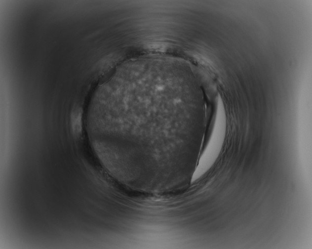 X0000089710504200707121415