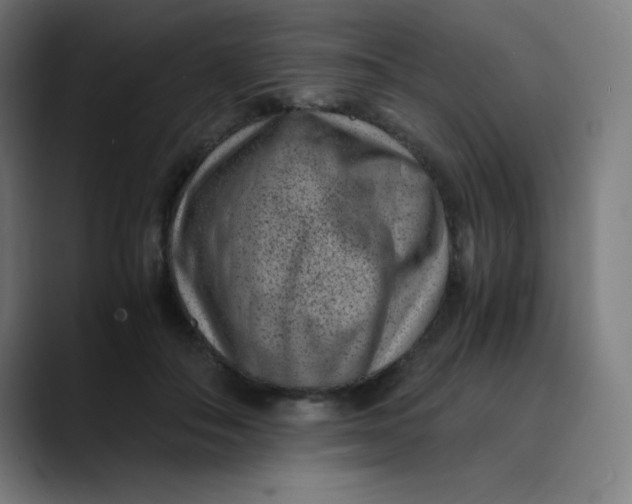 X0000089710506200707121415