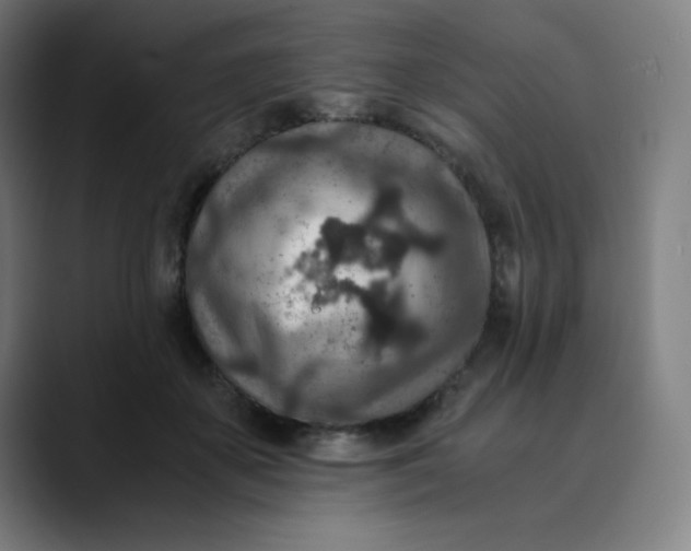 X0000089710507200707121415