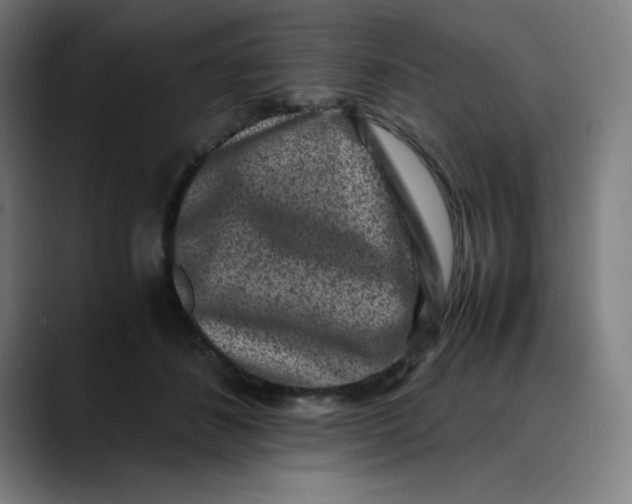 X0000089710508200707121415