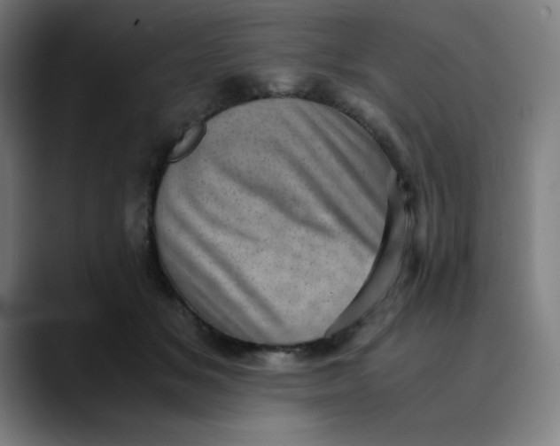 X0000089710509200707121415