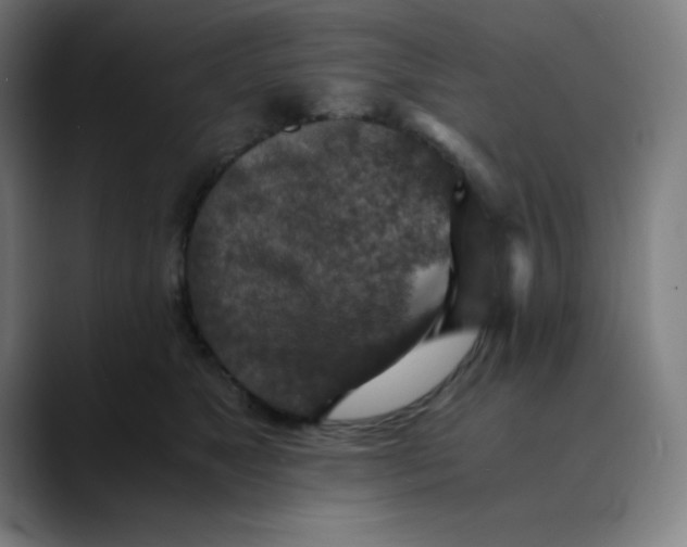 X0000089710517200707121415