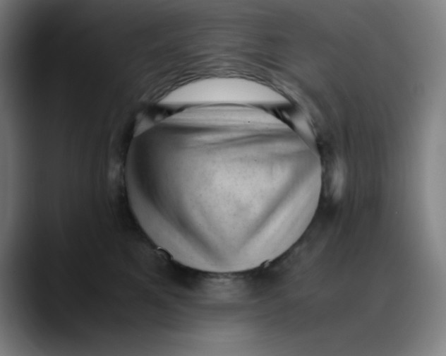 X0000089710521200707121415