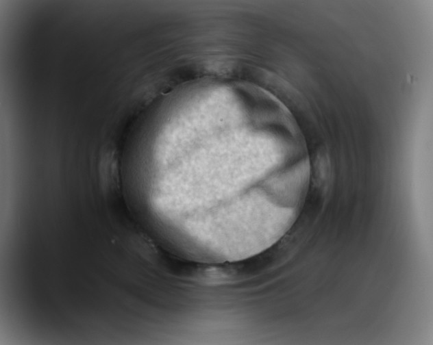 X0000089710522200707121415