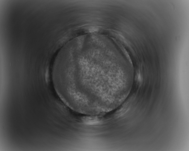 X0000089710524200707121415