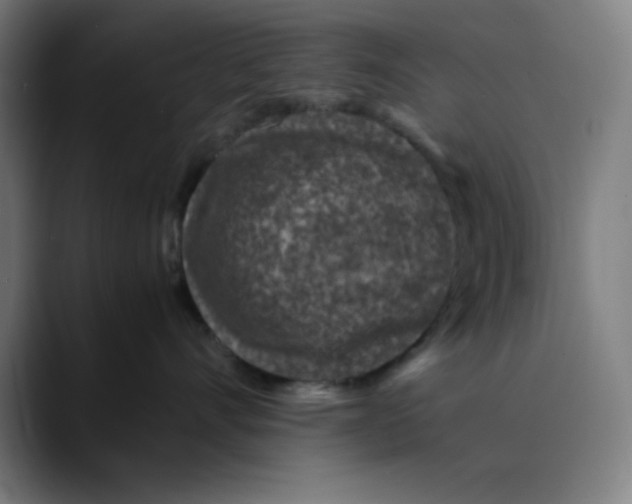 X0000089710528200707121415