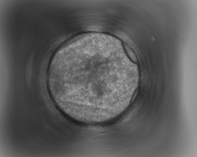 X0000089710529200707121414