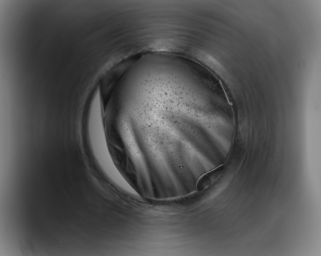 X0000089710530200707121414