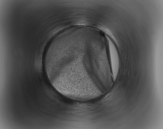 X0000089710531200707121414