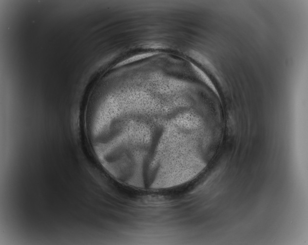 X0000089710535200707121414