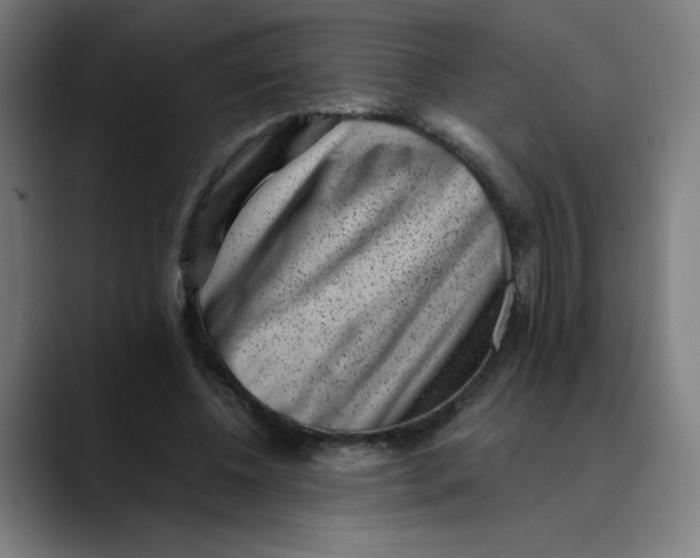 X0000089710540200707121414