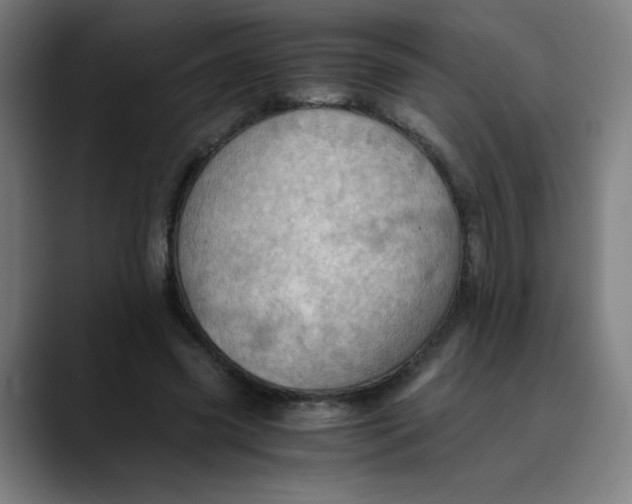 X0000089710541200707121414